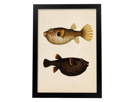 Póster NACNIC de Dos Peces Marron, Naranja, Negro y Amarillo en , Fondo Papel Vintage.