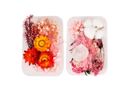 2 cajas de flores secas para resina, moldes de joyería, manualidades, velas, jabón MEOIRUERY