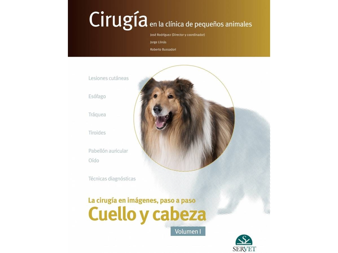 Libro Cirugía En La Clínica De Pequeños Animales de Rodríguez, José et al. (Español)