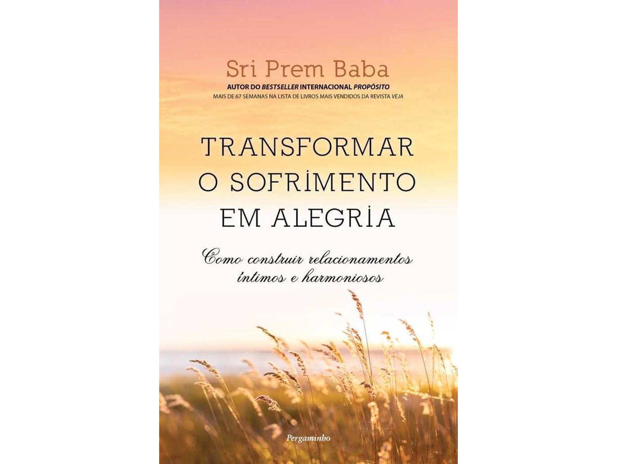Libro Transformar o Sofrimento em Alegria de Sri Prem Baba (Portugués)