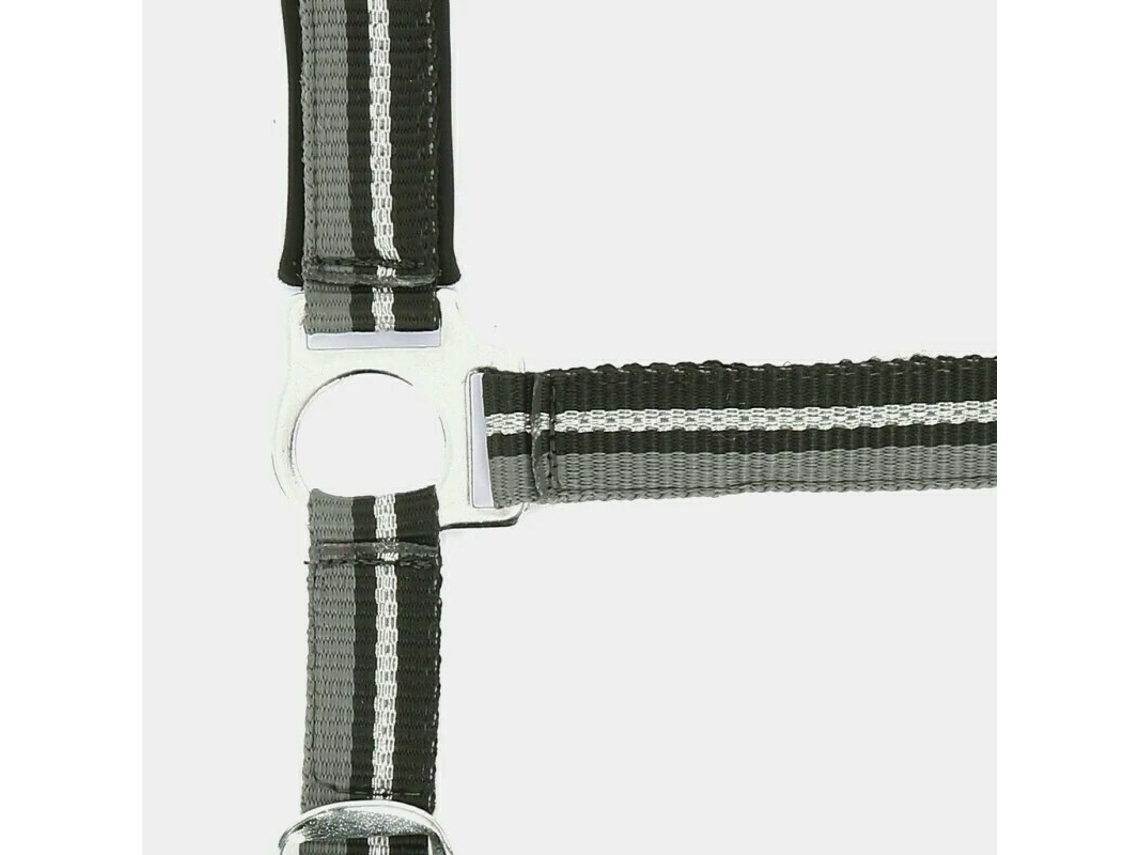 Cabezada para caballos Norton Brillant