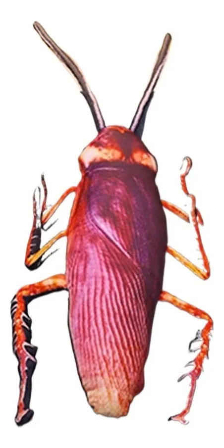 Nueva almohada de peluche de cucaracha de simulación grande de Javayotoy