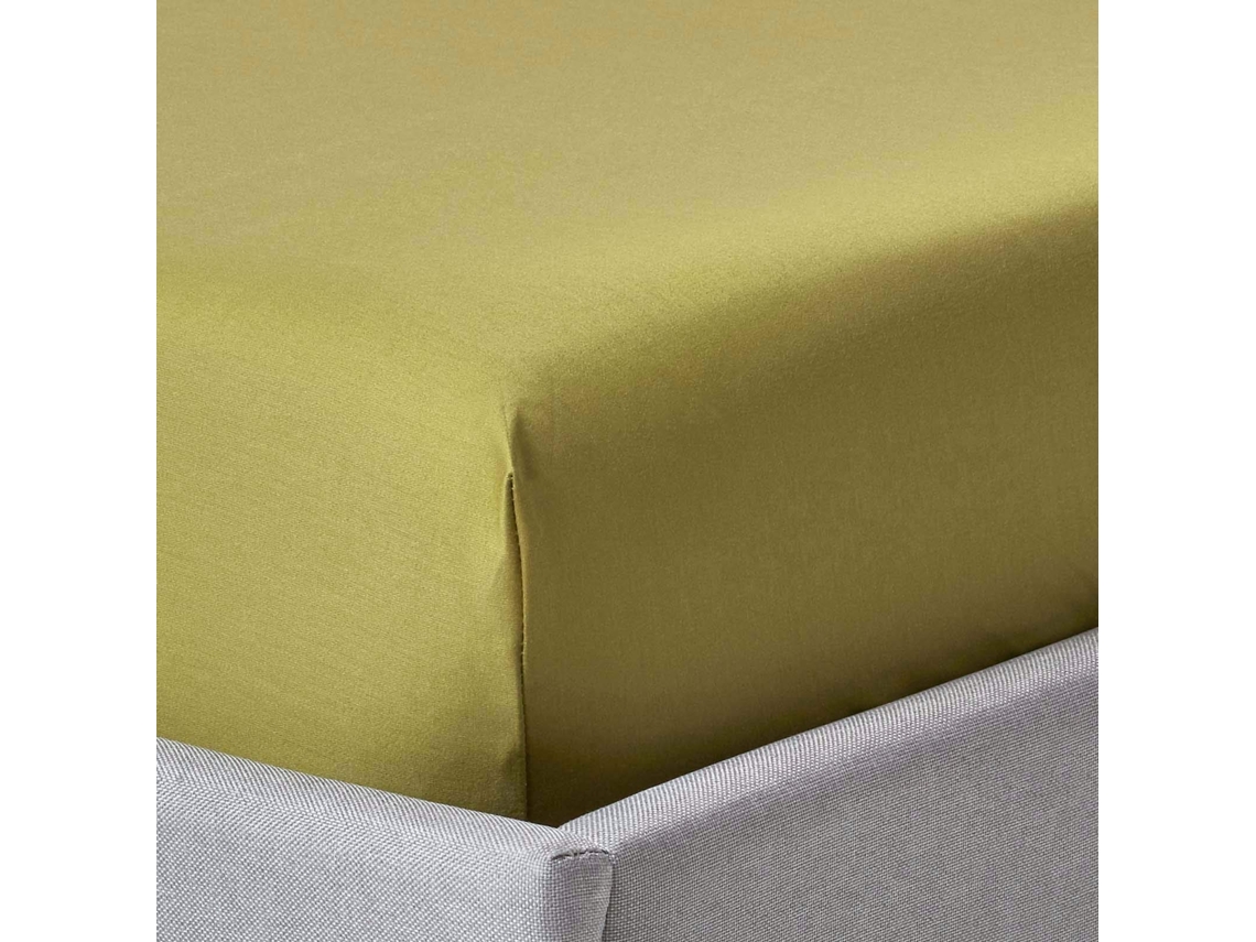 Homescapes Olive Green Egyptian Cotton Fitted Sheet 1000 Thread Count, Small Double