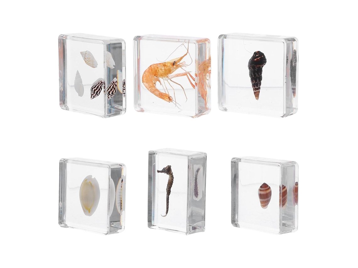 Conjunto De 6 Figuras Realistas De Resina Que Representan Animales Marinos, Ideal