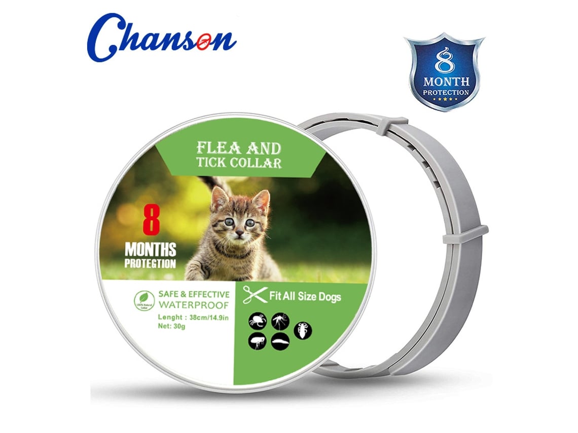 Colar Antiparasita Para Gato, 8 Meses De Proteção, Seguro, À Prova D‘água, Ajustável.