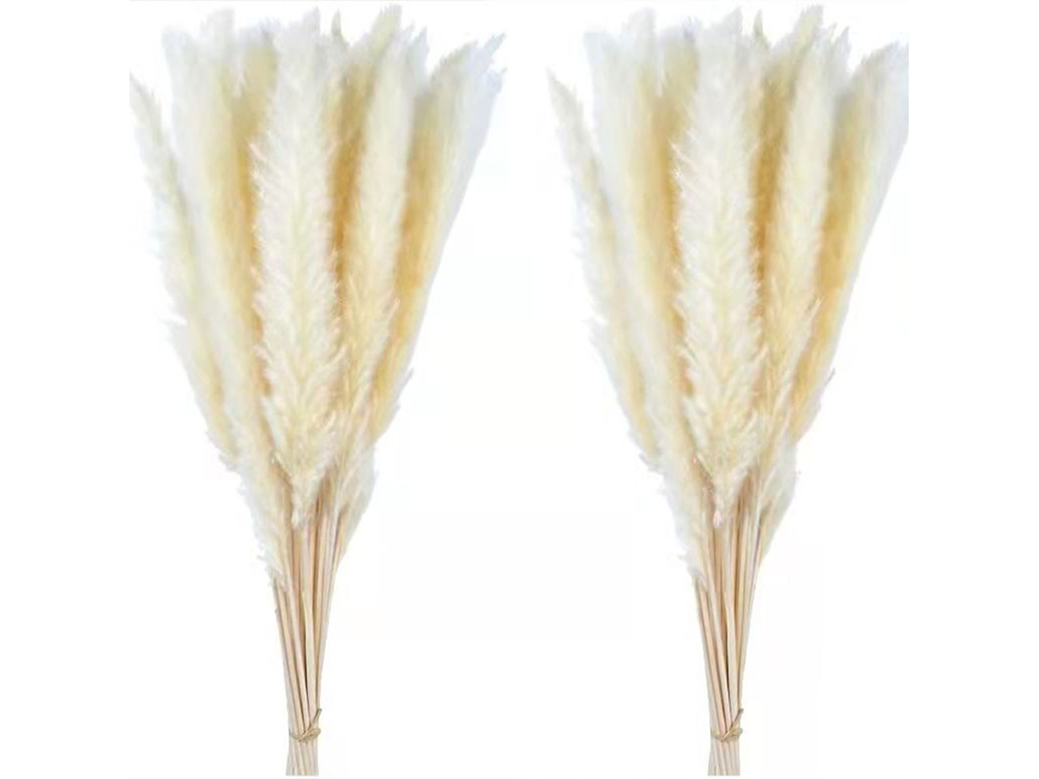 2026-30pcs Ramo De Flores Secas De Junco Pequeño Y Hierba Pampas Decoración Diy Navideña Blanca