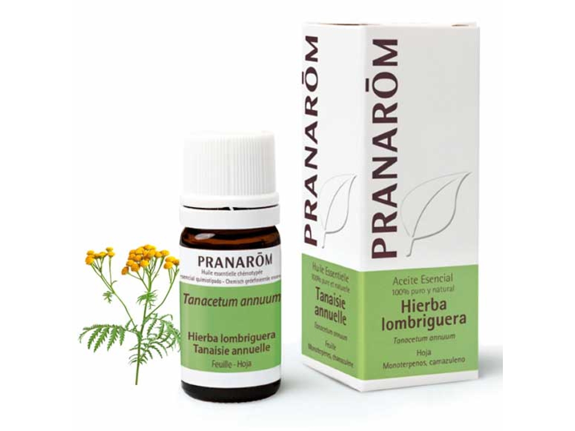 Aceite Essencial PRANAROM Essencial De Verme (5 ml de óleo essencial)