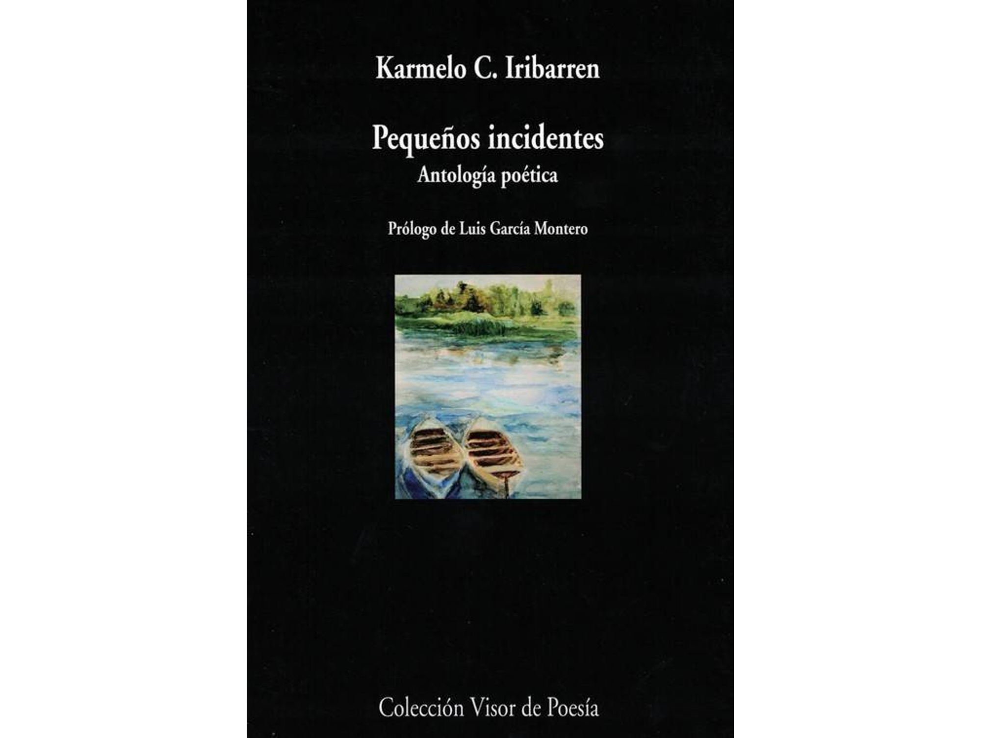 Libro PEQUEÑOS INCIDENTES de Karmelo C. Iribarren