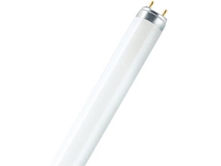 Bombilla Fluorescente OSRAM Lumilux T8