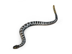 Juguete De Serpiente Realista Figura De Cascabel De Goma Estática Animal Salvaje Para Jardín Niños Bromas