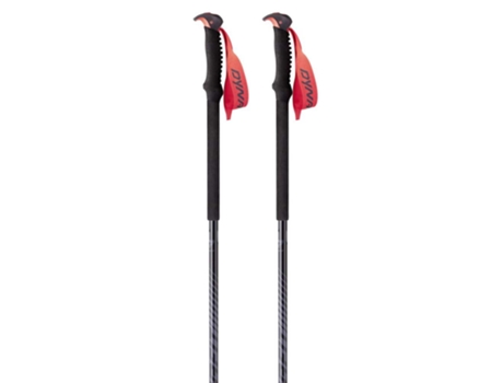 Bastón DYNAFIT Poloneses Tour Vermelho 120 cm