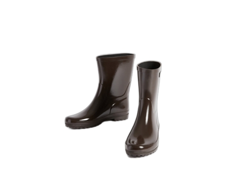 Botas de Mujer AIGLE Lluvia Eliosa Marrón (38)