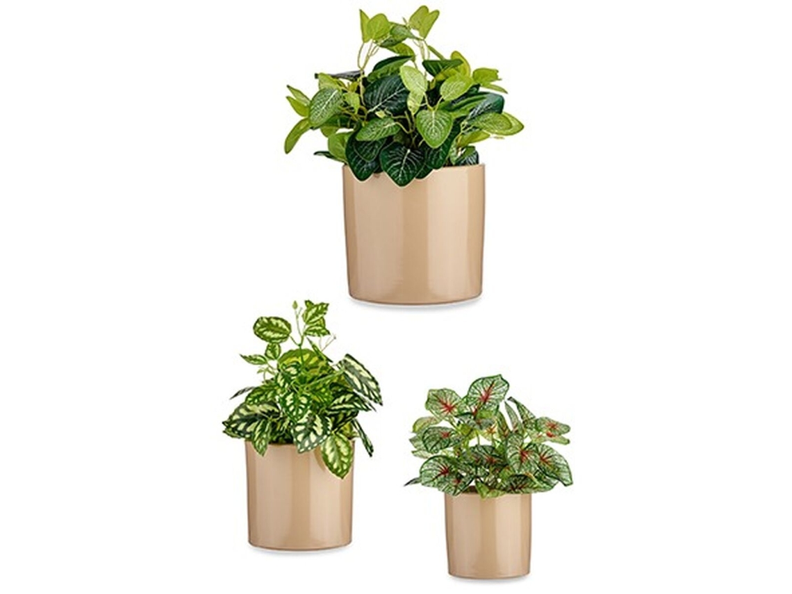 Set de Macetas 3 Piezas Ø 14 cm Ø 22 cm Ø 17 cm Cilindro Beige