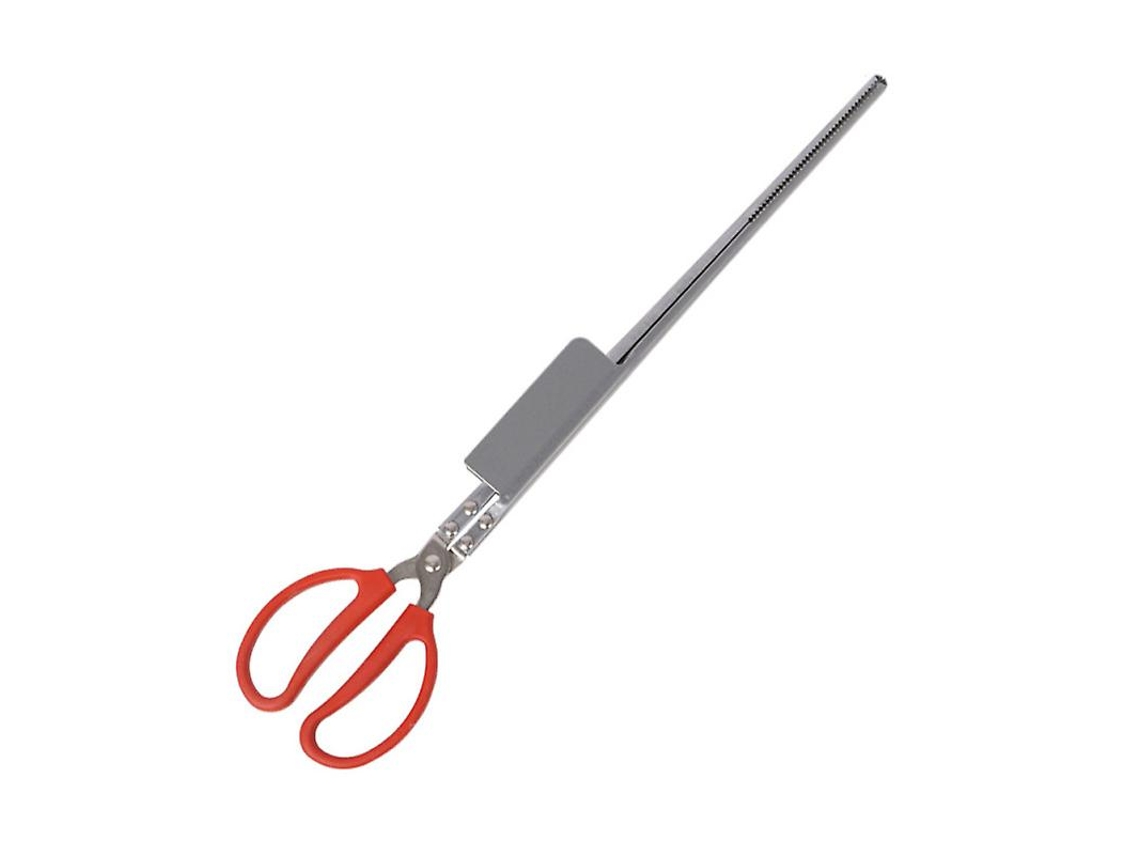 1 Pinza Para Anguila De Acero Inoxidable.