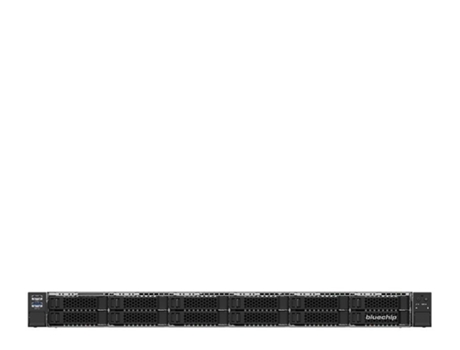 Servidor BLUECHIP (RAM: 32 GB)