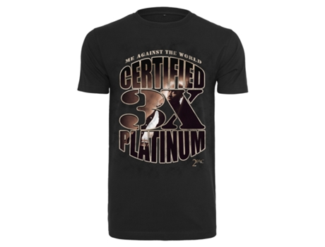 Camiseta MISTER TEE Hombre (Multicolor - M)