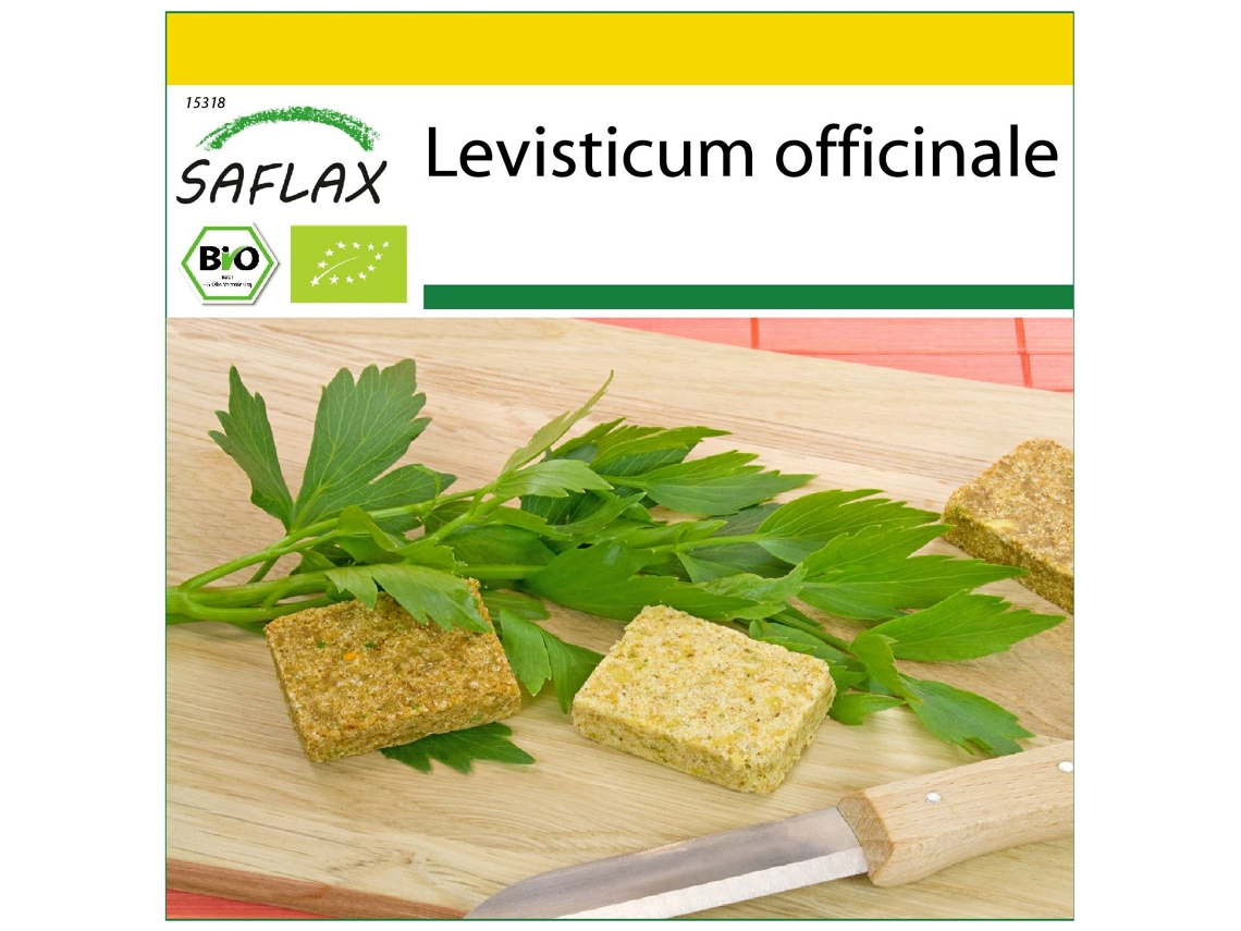 SAFLAX Conjunto de cultivo Ecológico Apio de monte o levístico 100 semillas Con mini invernadero, sustrato de cultivo y 2 macetas Levisticum officinale