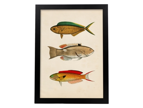 Póster NACNIC de Tres Peces Naranja, Verde, Beige y Rojo en , Fondo Papel Vintage.