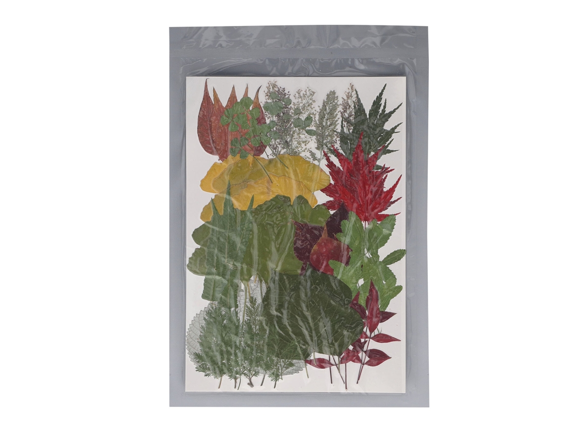 Kit De 90 Flores Prensadas Y Hojas Secas Para Manualidades De Scrapbooking - Resina