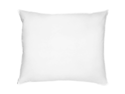 Almohada de plumas y plumón BELIANI Feldberg de Algodón japara Blanco 60x50x10