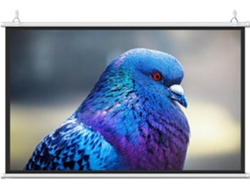 Pantalla De Proyección De 30, 40, 50, 60 Y 72 Pulgadas, Enrollable Manualmente, Pantalla Para Proyector De