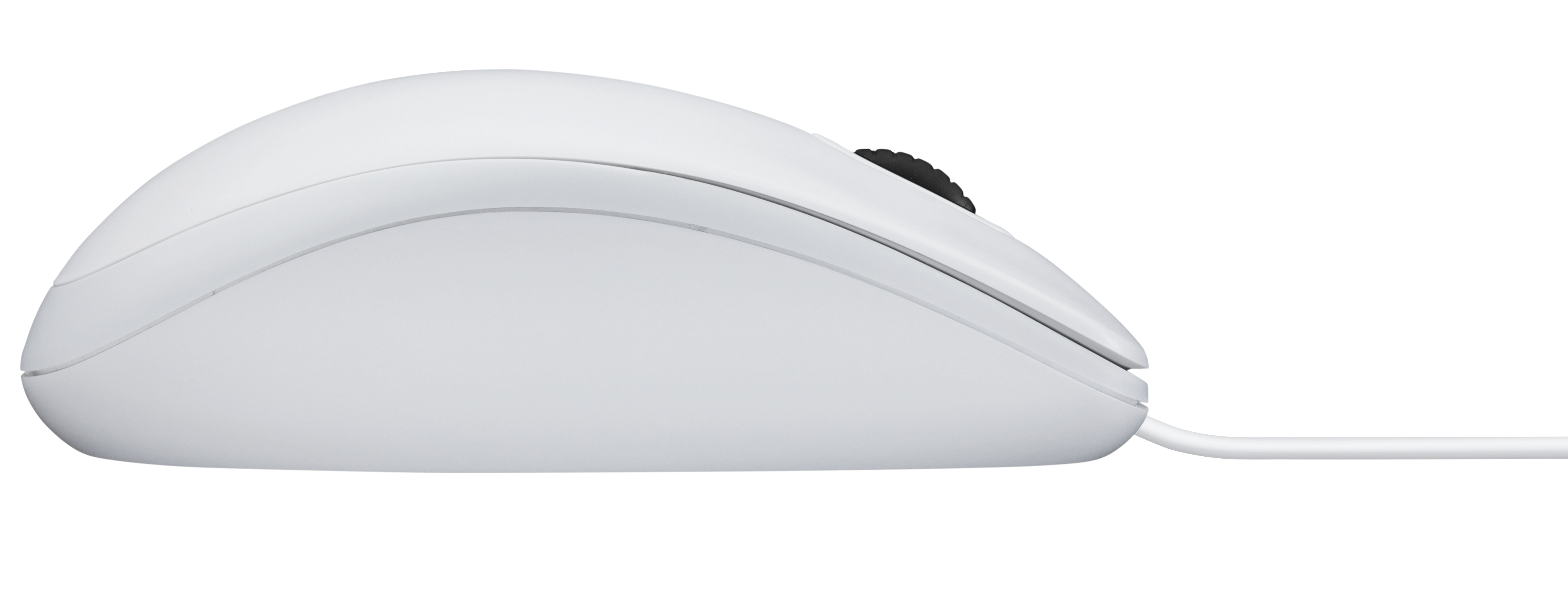 Ratón LOGITECH B100 (Óptico - 800 dpi - Blanco)
