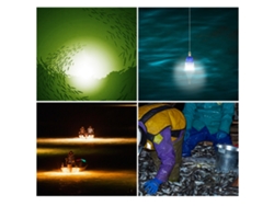 Luz Led Sumergible E Impermeable Para Atraer Peces Por La Noche.