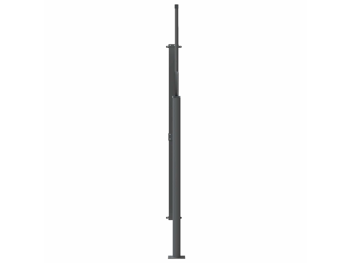 Maison Exclusive - Toldo Lateral Retráctil 160 X 300 Cm