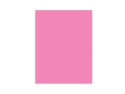 Cartolina Liderpapel 50X65 Cm 180G/M2 Rosa Pack de 25 Unidades