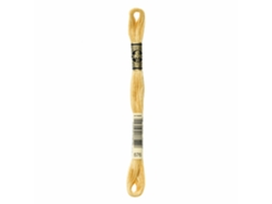 Hilo de Bordar DMC Mouline 117Mc Camel 676