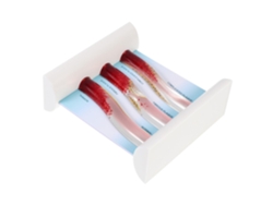 Modelo Vascular Dinámico Para La Enseñanza De La Medicina: Representación Realista De Los Vasos Sanguíneos.