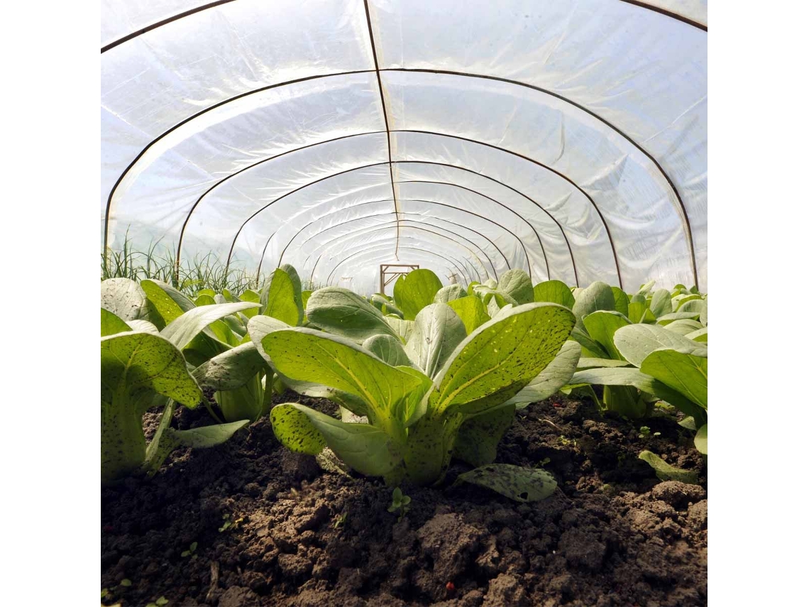 Cubierta para Invarnadero TECPLAST 3x4 m - TECPLAST 150SE - Lona Transparente Impermeable para Jardín - Alta Calidad
