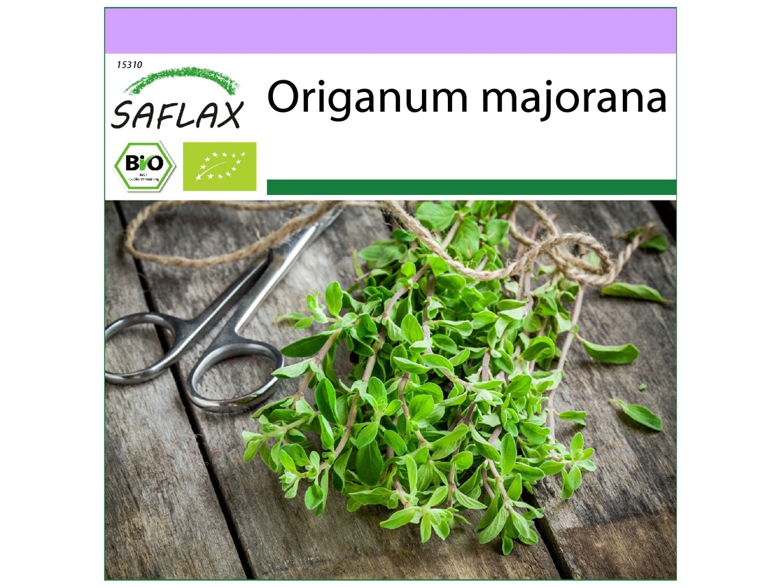 SAFLAX Ecológico Mejorana 700 semillas Origanum majorana
