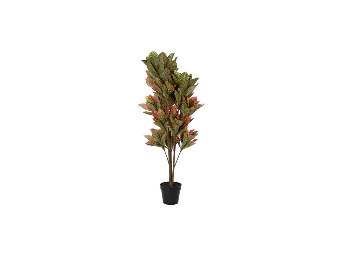 Planta Pe Croton Verde 50x50x140cm