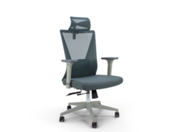 Sillas ejecutivas de oficina Maui Pecunia Riva Riva Office