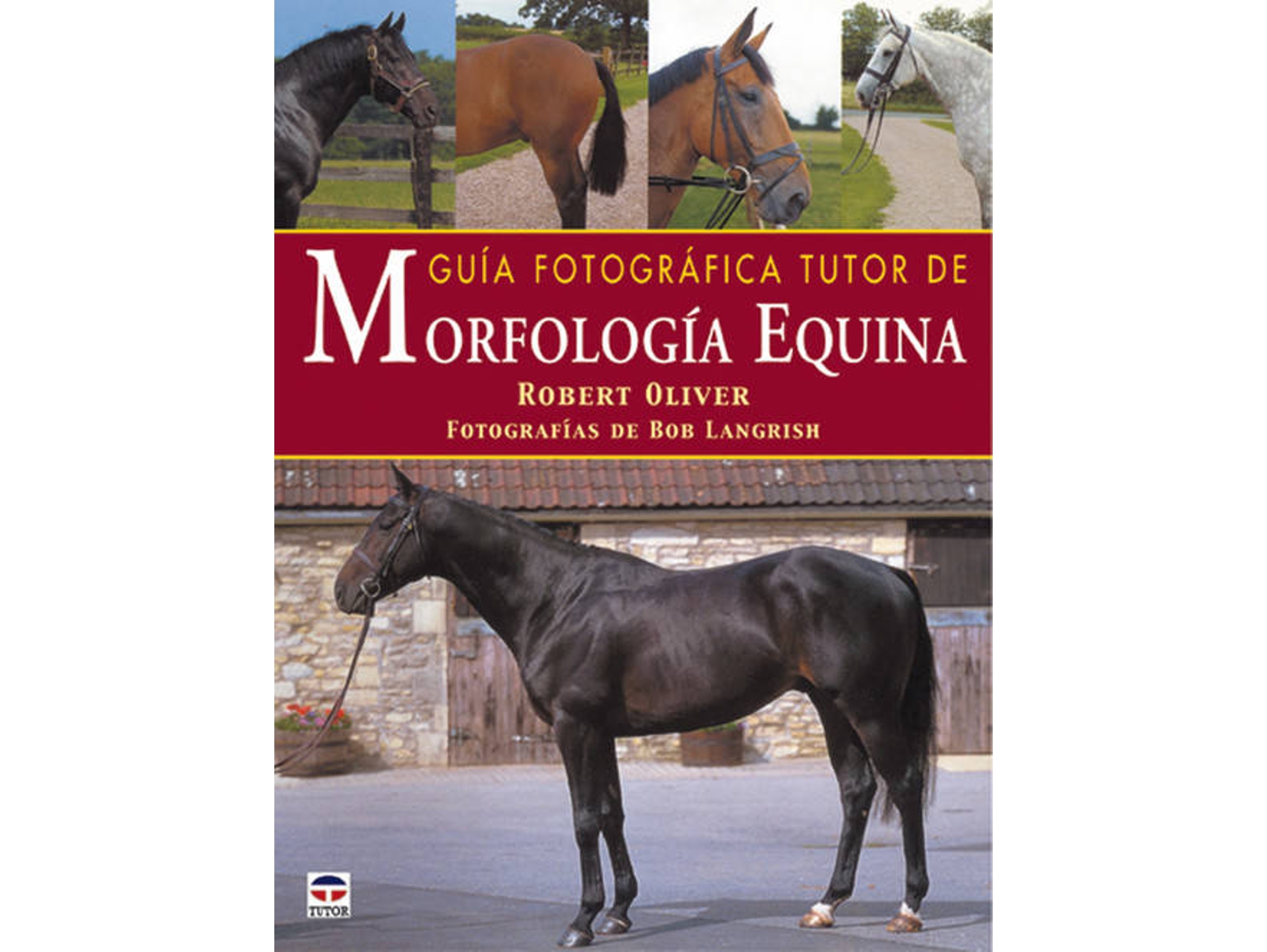 Libro Guia Fotografica Tutor De Morfologia Equina de Robert Oliver (Español)