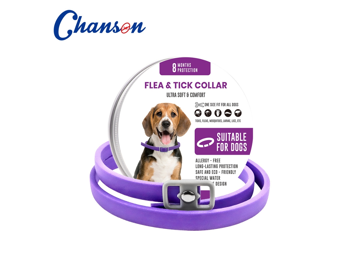 Collar antipulgas y garrapatas, protección continua durante 8 meses, ajustable, 62 cm, DAWNPAVILL (perro morado)