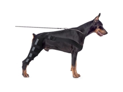 Rodillera para perros, doble soporte para patas traseras con correas reflectantes ajustables para LCA y artritis M Negro
