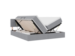 Maison Exclusive - Cama De Almacenamiento Led Con Colchón Gris Claro 180 X 200 Cm
