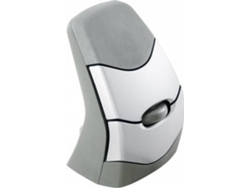 Ratón BAKKERELKHUIZEN DXT Precision (Gris)