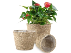 HYMNORA Cesta para plantas, cesta trenzada a mano con forro de plástico impermeable, macetas, contenedores para plantas de interior y exterior