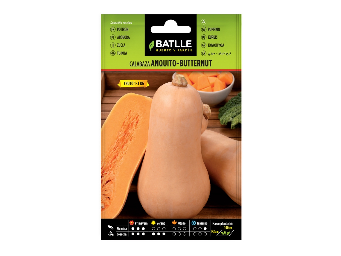 Semillas de calabaza Anquito butternut BATLLE