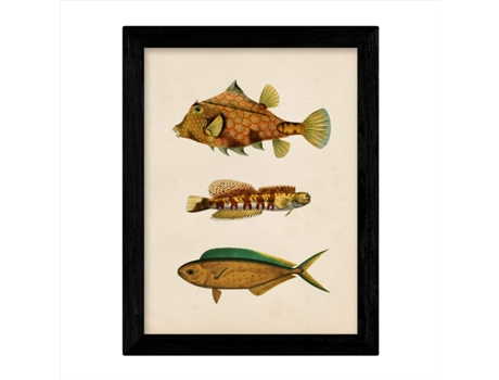 Set De 4 Láminas De Peces Coloridos Efecto Vintage. Norte. Composicion De 11 Peces Diferentes, Fondo Papel Antiguo Vintage. . Sin Marco