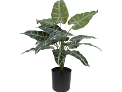 Planta Artificial EUROPALMS Caladium (Verde - 38 cm)