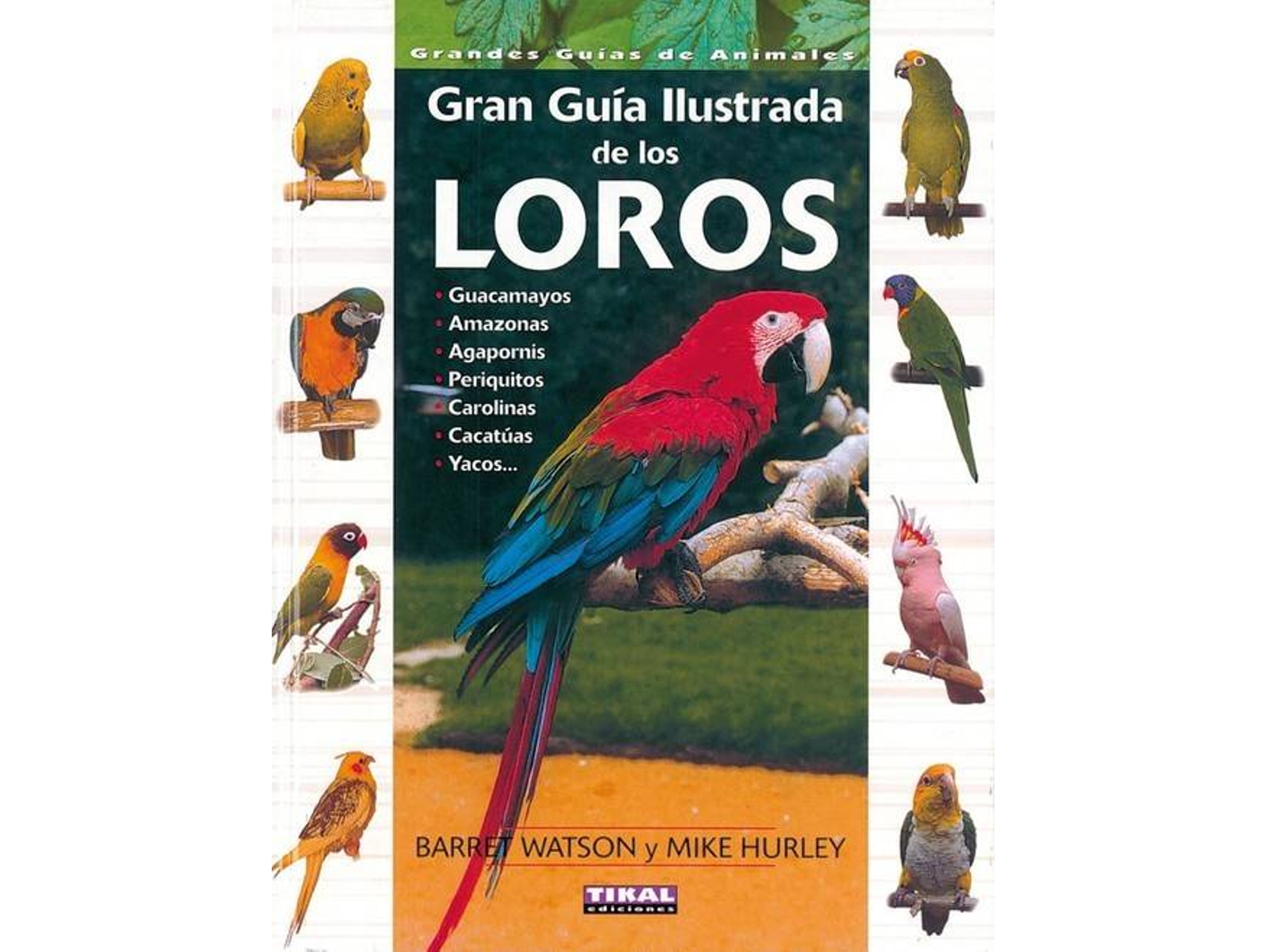 Libro Guía Ilustrada De Los Loros de Mike Hurley e Barret Watson (Español)