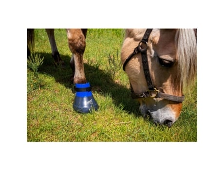 Hoof protection for horses Horse Master Goudron De Pin / Pine Tar 1 kg -  Hoof protectors - Hoof Care