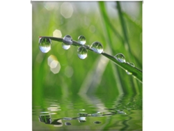 Estor Enrollable HAPPYSTOR Estampado Digital Zen HSCZ1287 145x250 cm