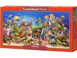 Puzzle CASTORLAND Underwater life (4000 Piezas)