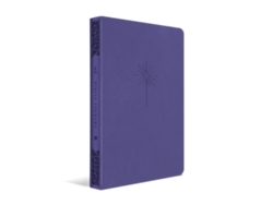 Libro Bíblia Nvt - Filament - Lilás, Luxo Couro Sintético Slim Letra Grande De Mundo Cristão (portugués)