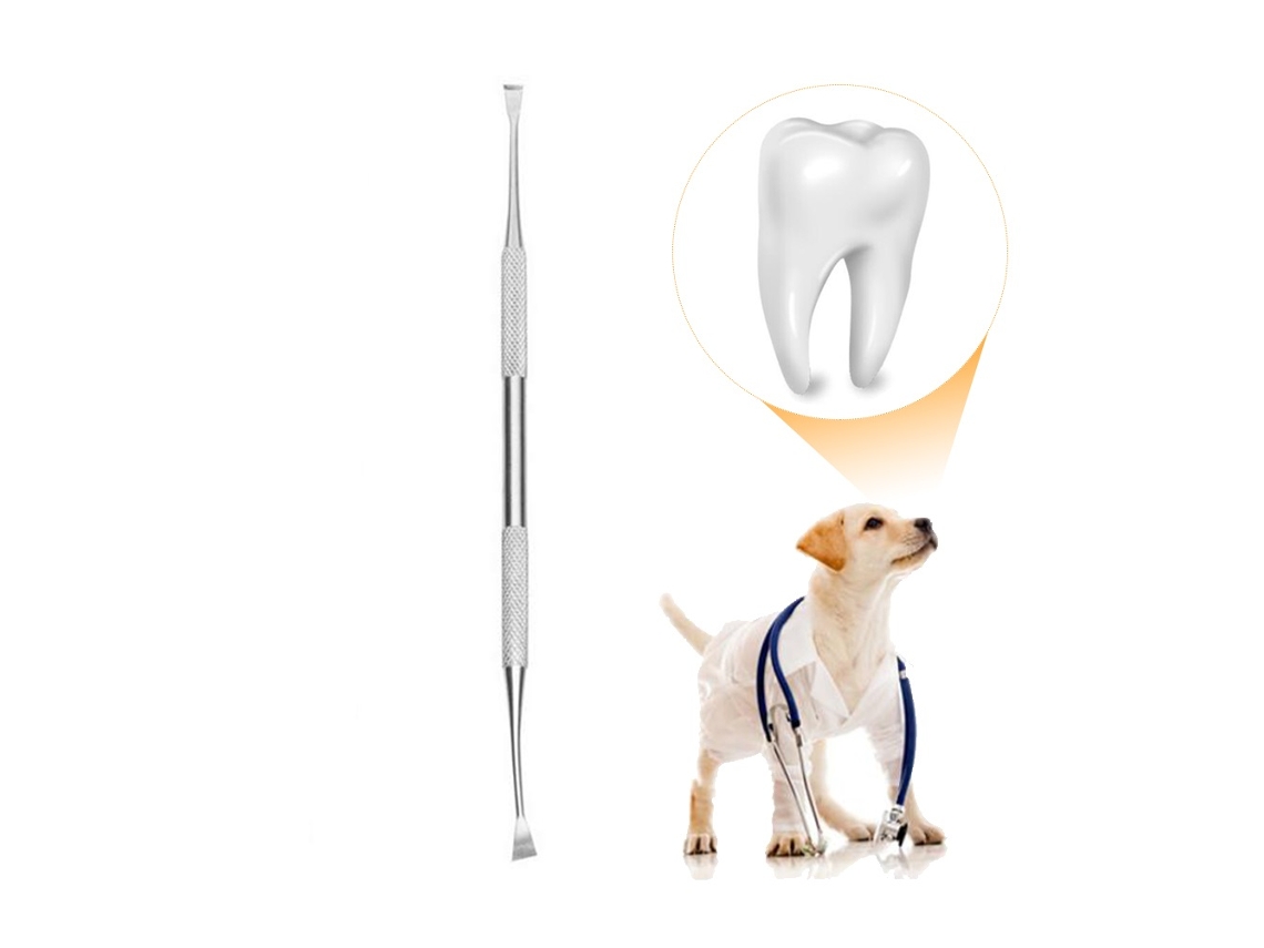 Raspador dental de acero inoxidable de doble extremo Primerox para la eliminación del sarro.